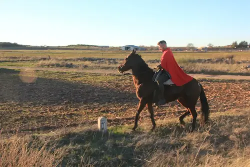 Auto-Reyes-Magos-Vianos13