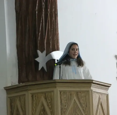 Auto-Reyes-Magos-Vianos133