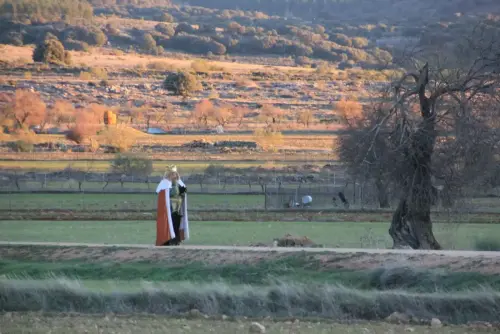 Auto-Reyes-Magos-Vianos16