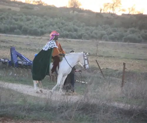 Auto-Reyes-Magos-Vianos18