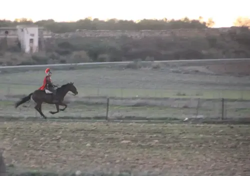 Auto-Reyes-Magos-Vianos23