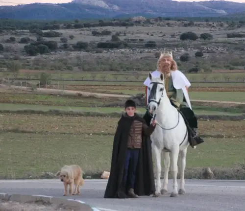 Auto-Reyes-Magos-Vianos29