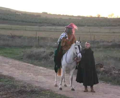 Auto-Reyes-Magos-Vianos33