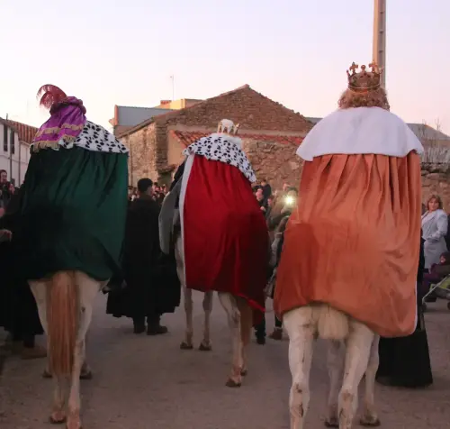 Auto-Reyes-Magos-Vianos46