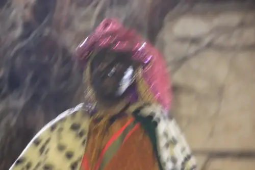 Auto-Reyes-Magos-Vianos80