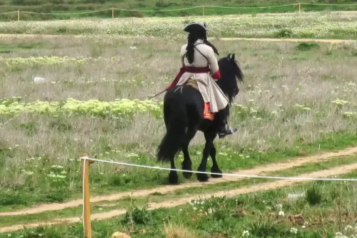 FiestasTradiciones-Batalla1707-Almansa234