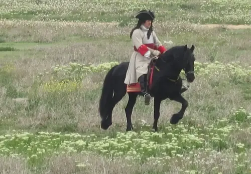 FiestasTradiciones-Batalla1707-Almansa235
