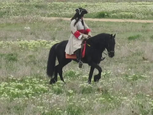 FiestasTradiciones-Batalla1707-Almansa236