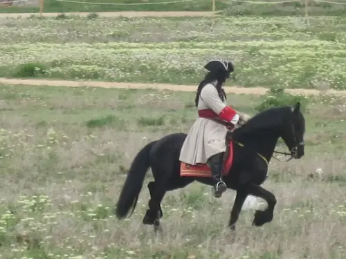 FiestasTradiciones-Batalla1707-Almansa237