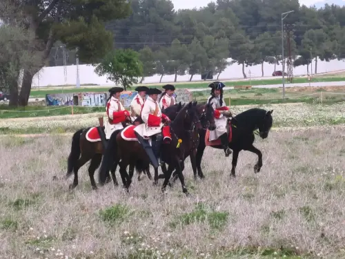 FiestasTradiciones-Batalla1707-Almansa245