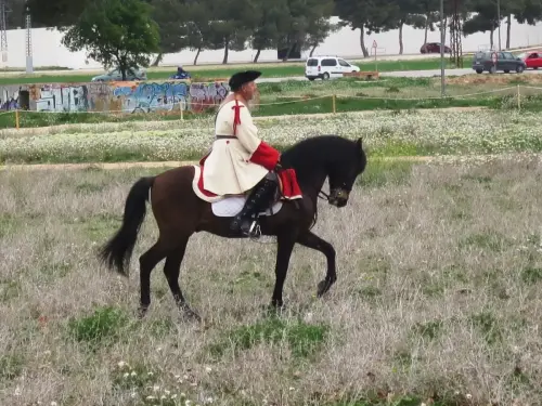 FiestasTradiciones-Batalla1707-Almansa247