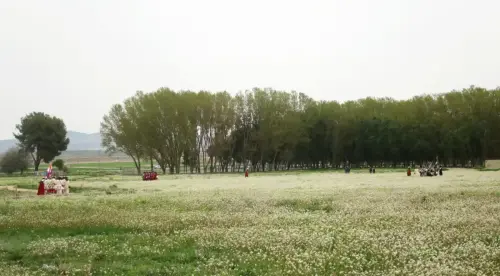 FiestasTradiciones-Batalla1707-Almansa72