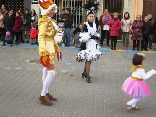 Carnaval-La-Roda14