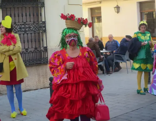 FiestasTradiciones-Carnaval-Tarazona117