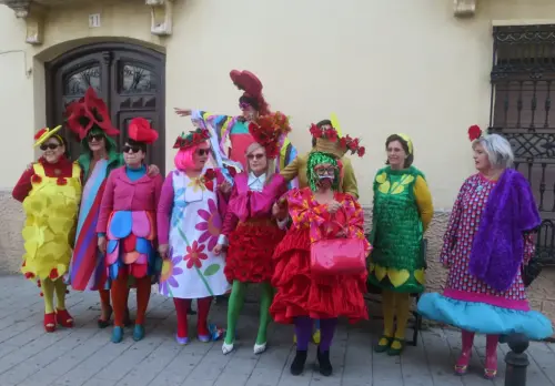 FiestasTradiciones-Carnaval-Tarazona122