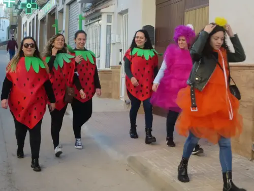 FiestasTradiciones-Carnaval-Tarazona169