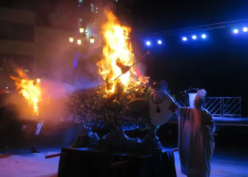 Carnaval-Entierro-Sardina-Albacete24