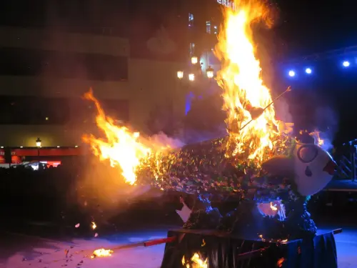 Carnaval-Entierro-Sardina-Albacete25