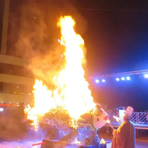 Carnaval-Entierro-Sardina-Albacete26