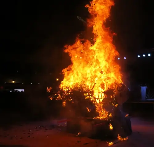 Carnaval-Entierro-Sardina-Albacete29