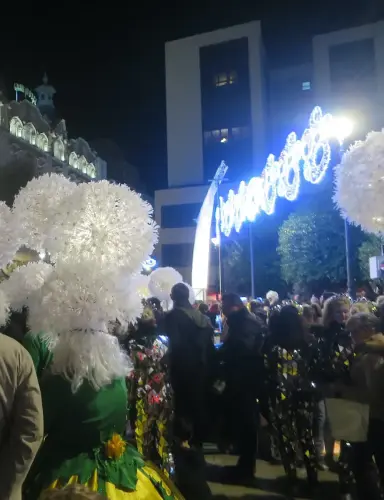 Carnaval-Entierro-Sardina-Albacete62