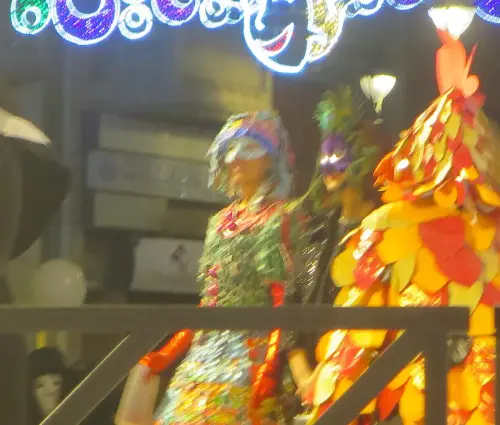 Carnaval-Entierro-Sardina-Albacete78