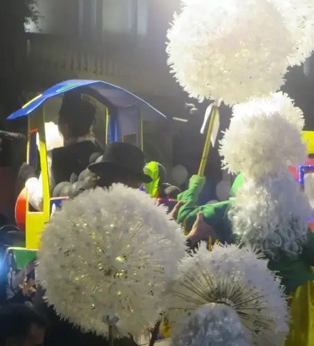 Carnaval-Entierro-Sardina-Albacete84