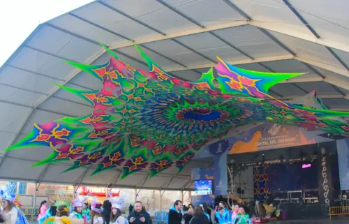 Carnaval-Villarrobledo14