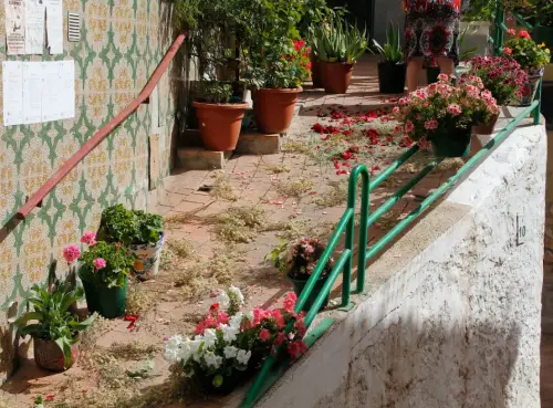 FiestasTradiciones-CorpusAlfombras-Ayna13