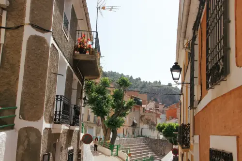 FiestasTradiciones-CorpusAlfombras-Ayna16