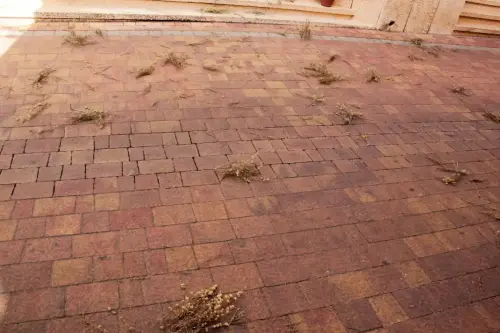 FiestasTradiciones-CorpusAlfombras-Ayna2