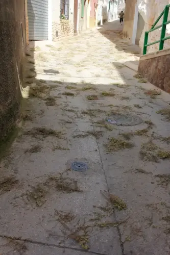 FiestasTradiciones-CorpusAlfombras-Ayna24