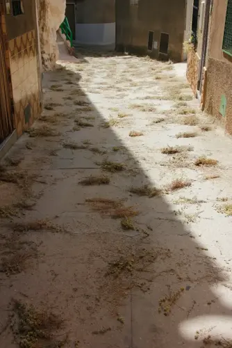 FiestasTradiciones-CorpusAlfombras-Ayna25