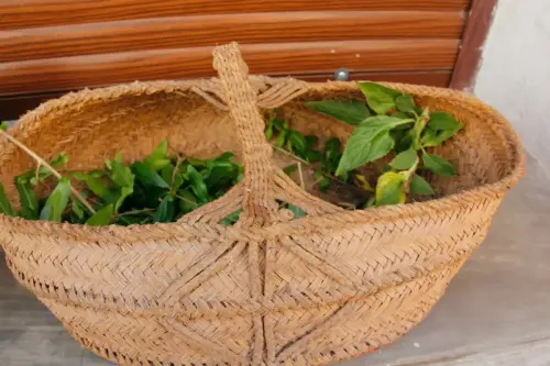 FiestasTradiciones-CorpusAlfombras-Ayna3