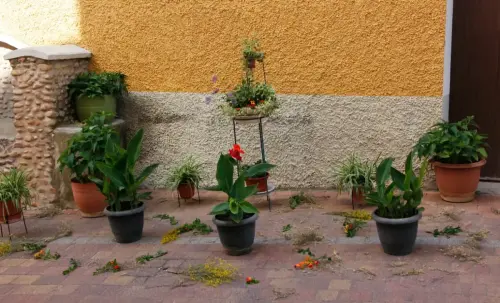 FiestasTradiciones-CorpusAlfombras-Ayna6