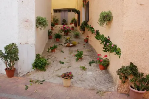 FiestasTradiciones-CorpusAlfombras-Ayna7