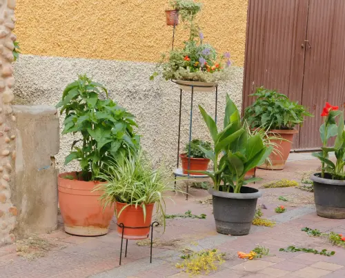 FiestasTradiciones-CorpusAlfombras-Ayna9