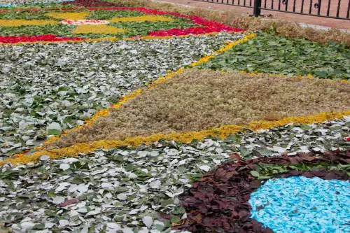FiestasTradiciones-CorpusAlfombras-Bogarra100