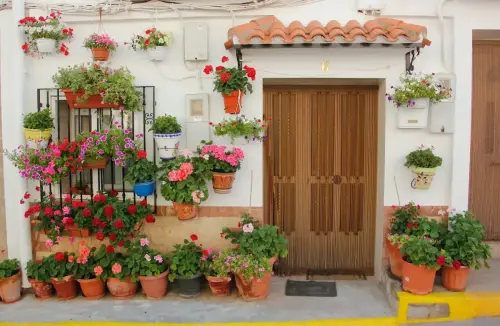 FiestasTradiciones-CorpusAlfombras-Bogarra104