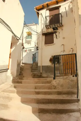 FiestasTradiciones-CorpusAlfombras-Bogarra17