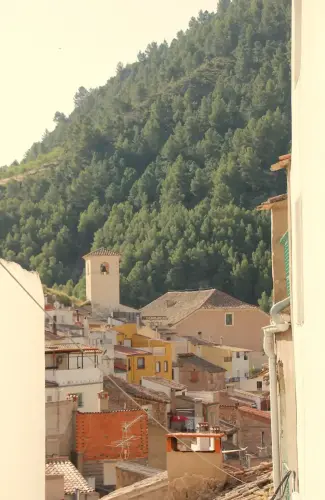 FiestasTradiciones-CorpusAlfombras-Bogarra18