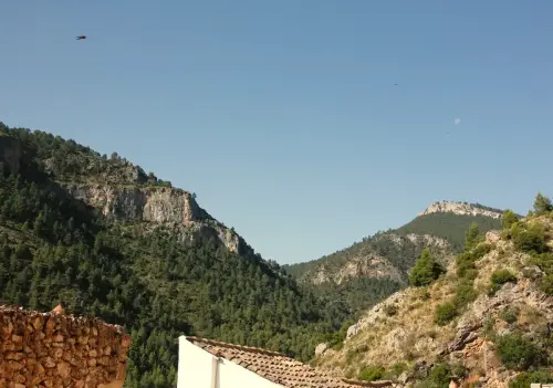 FiestasTradiciones-CorpusAlfombras-Bogarra23