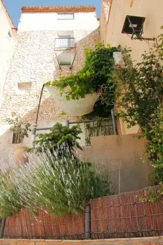 FiestasTradiciones-CorpusAlfombras-Bogarra24