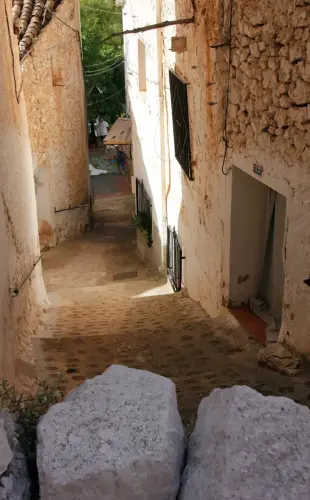 FiestasTradiciones-CorpusAlfombras-Bogarra28