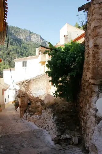 FiestasTradiciones-CorpusAlfombras-Bogarra30