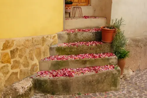 FiestasTradiciones-CorpusAlfombras-Bogarra33