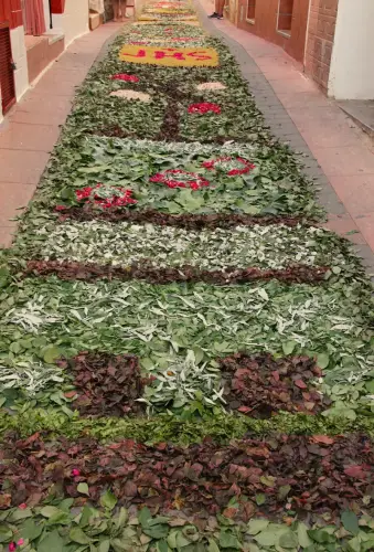 FiestasTradiciones-CorpusAlfombras-Bogarra4