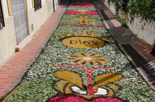 FiestasTradiciones-CorpusAlfombras-Bogarra40