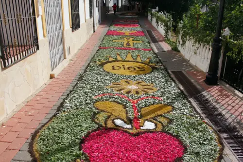 FiestasTradiciones-CorpusAlfombras-Bogarra41