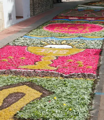 FiestasTradiciones-CorpusAlfombras-Bogarra42